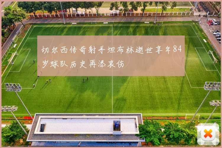 切尔西传奇射手坦布林逝世享年84岁球队历史再添哀伤