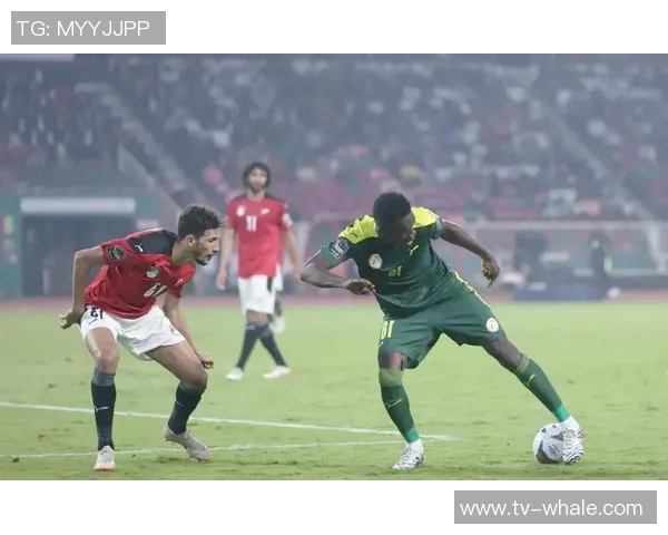 非洲杯决赛冲突引发罢赛非洲足联强烈谴责并启动录像审查