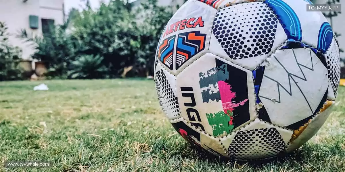 📺 高清直播，让你身临其境！